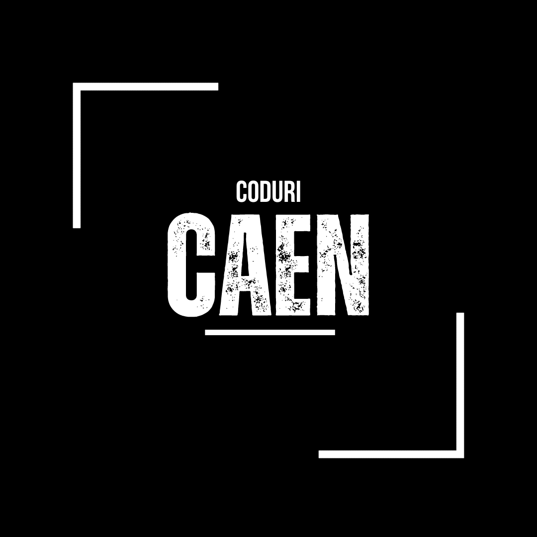 Cod CAEN 6920 în 2026 – Activități de contabilitate și audit financiar; consultanță în domeniul fiscal